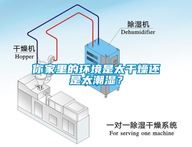 你家里的環境是太干燥還是太潮濕？