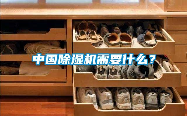 中國除濕機需要什么？