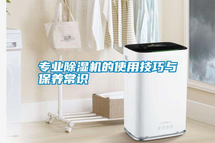 專(zhuān)業(yè)除濕機(jī)的使用技巧與保養(yǎng)常識(shí)