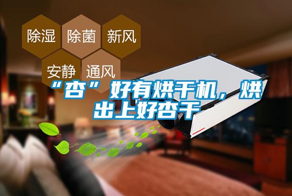 “杏”好有烘干機，烘出上好杏干