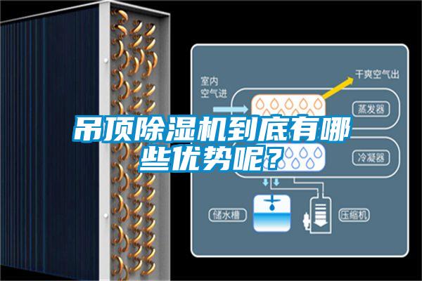 吊頂除濕機(jī)到底有哪些優(yōu)勢呢？