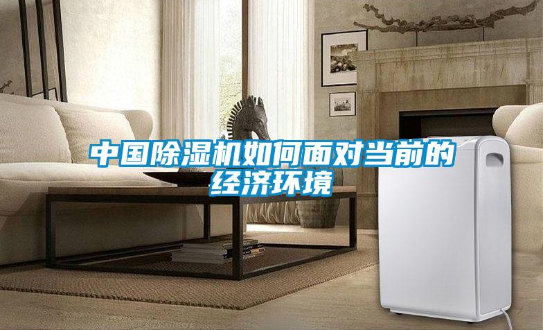 中國除濕機(jī)如何面對(duì)當(dāng)前的經(jīng)濟(jì)環(huán)境