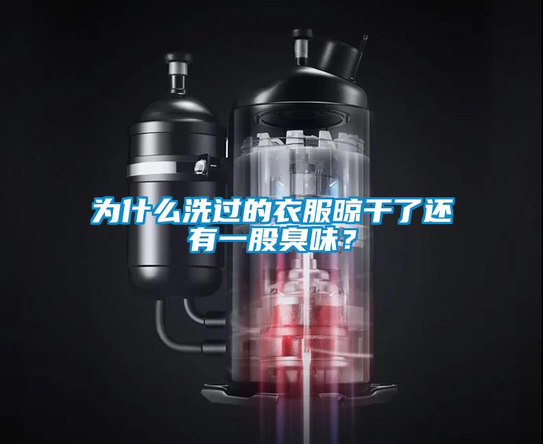 為什么洗過的衣服晾干了還有一股臭味？
