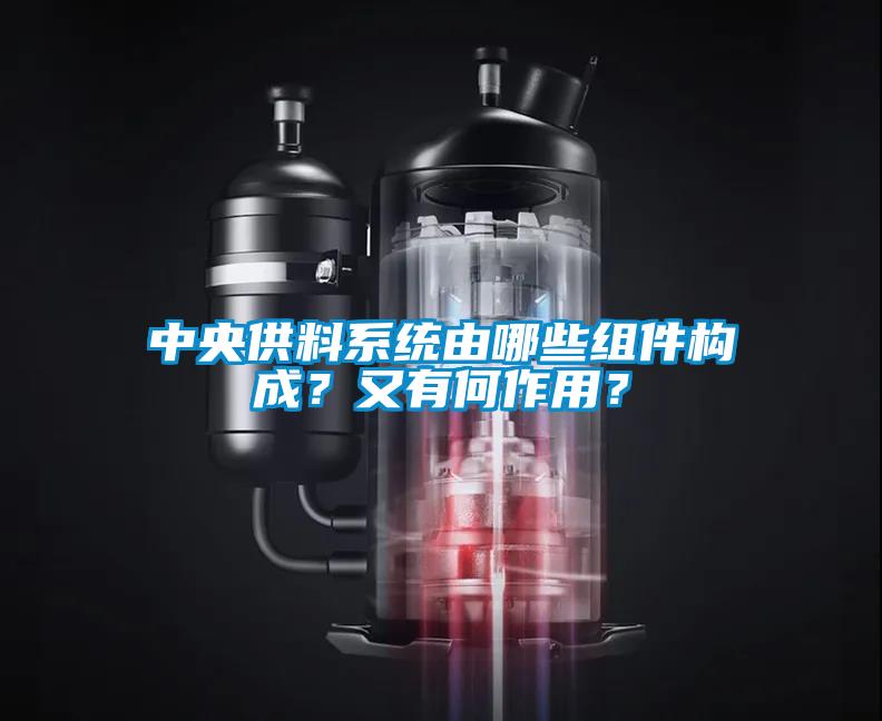 中央供料系統由哪些組件構成？又有何作用？