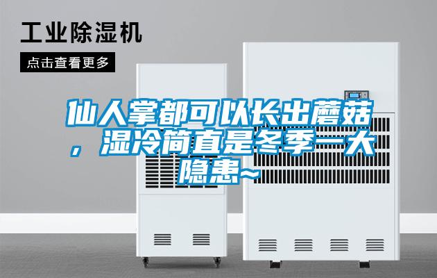 仙人掌都可以長(zhǎng)出蘑菇，濕冷簡(jiǎn)直是冬季一大隱患~
