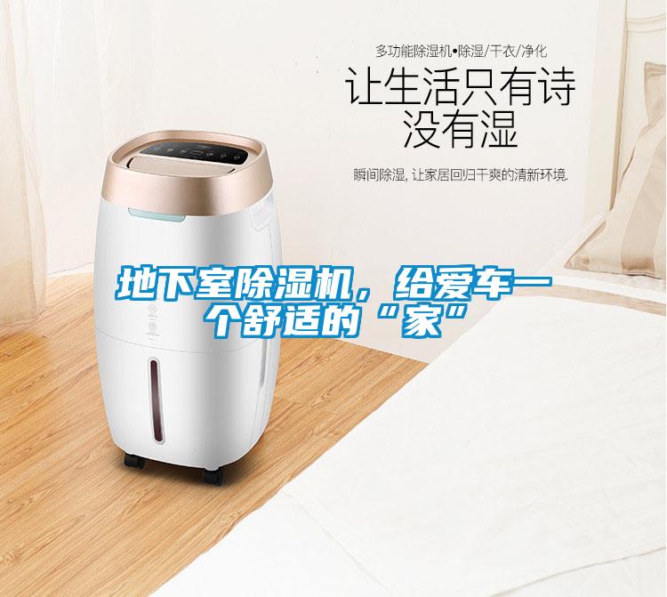 地下室除濕機(jī)，給愛(ài)車(chē)一個(gè)舒適的“家”