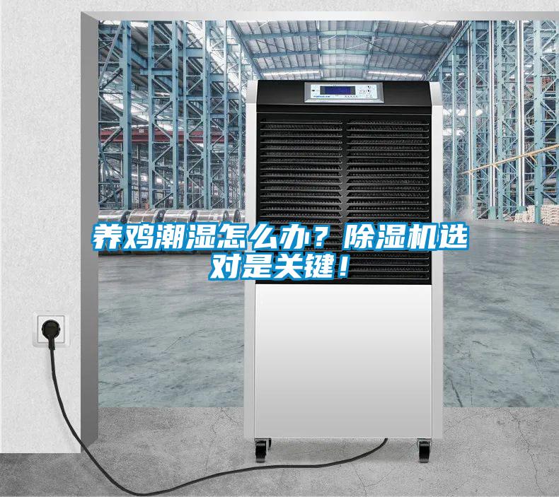 養(yǎng)雞潮濕怎么辦？除濕機選對是關(guān)鍵！