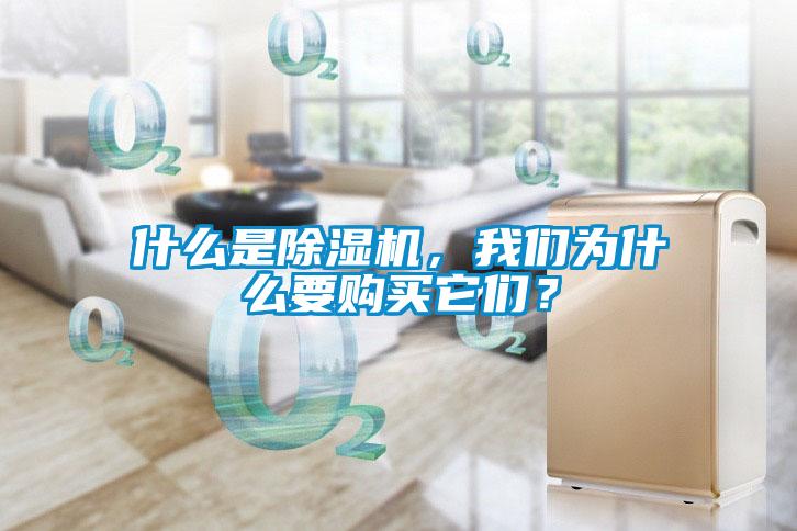 什么是除濕機，我們?yōu)槭裁匆徺I它們？