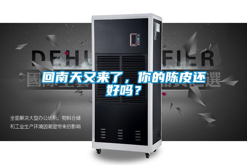 回南天又來(lái)了，你的陳皮還好嗎？