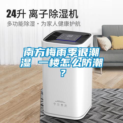 南方梅雨季很潮濕 一樓怎么防潮？
