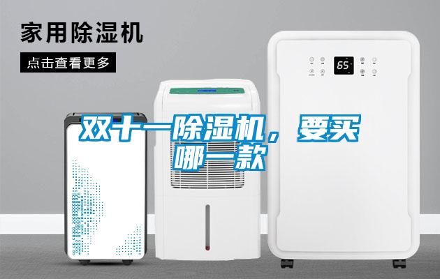 雙十一除濕機，要買哪一款