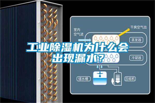 工業(yè)除濕機為什么會出現漏水？