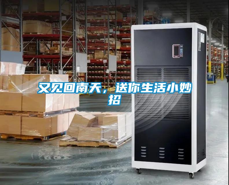 又見回南天，送你生活小妙招