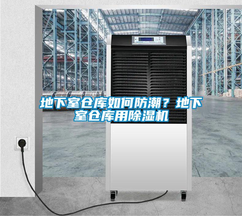 地下室倉(cāng)庫(kù)如何防潮？地下室倉(cāng)庫(kù)用除濕機(jī)