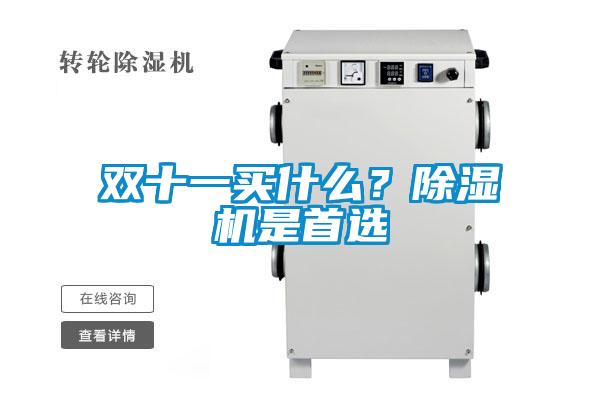 雙十一買什么？除濕機是首選