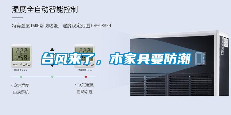 臺風來了，木家具要防潮