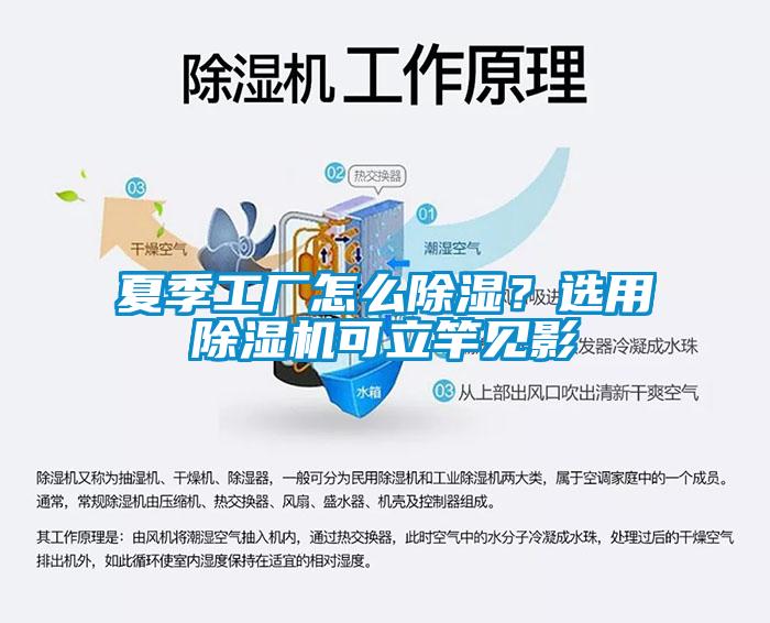 夏季工廠怎么除濕？選用除濕機(jī)可立竿見影
