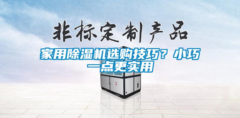 家用除濕機(jī)選購技巧？小巧一點(diǎn)更實(shí)用