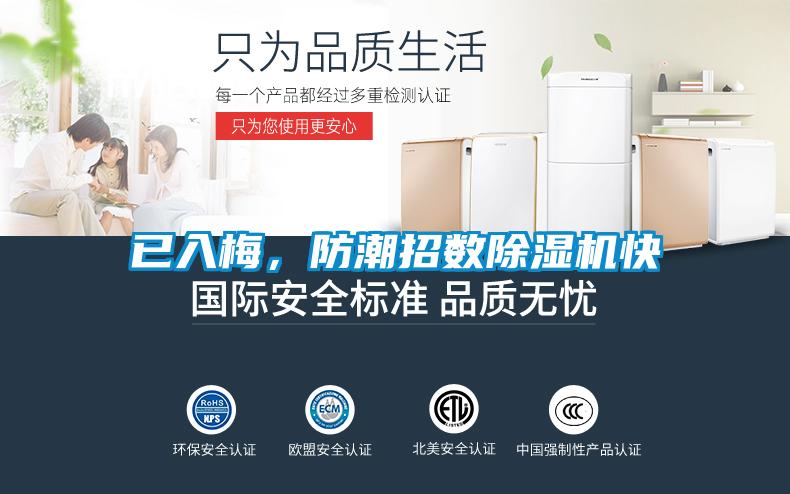 已入梅，防潮招數(shù)除濕機快