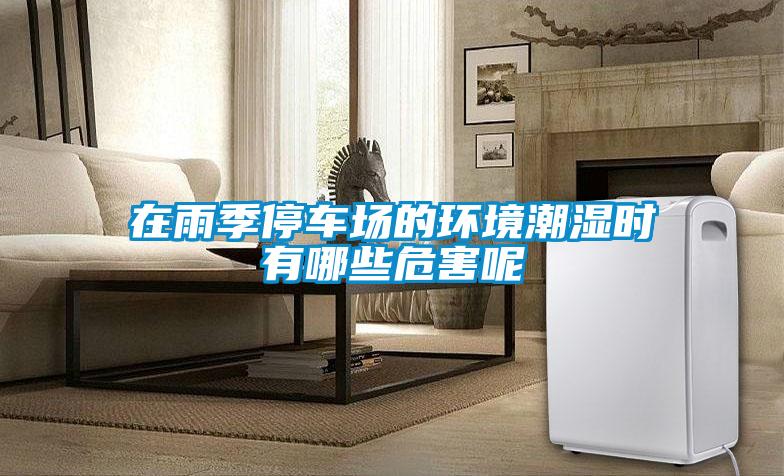 在雨季停車場的環(huán)境潮濕時(shí)有哪些危害呢