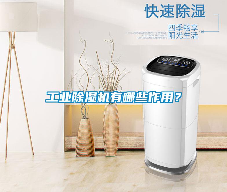 工業(yè)除濕機(jī)有哪些作用？