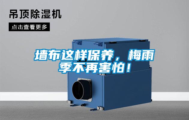 墻布這樣保養(yǎng)，梅雨季不再害怕！