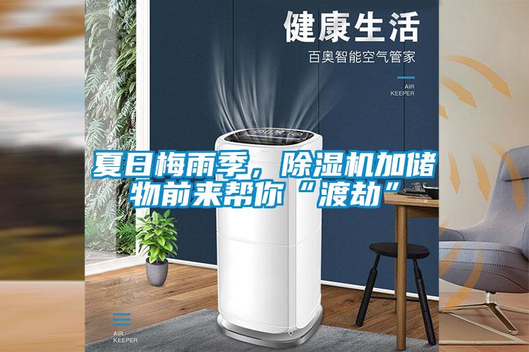 夏日梅雨季，除濕機(jī)加儲(chǔ)物前來(lái)幫你“渡劫”