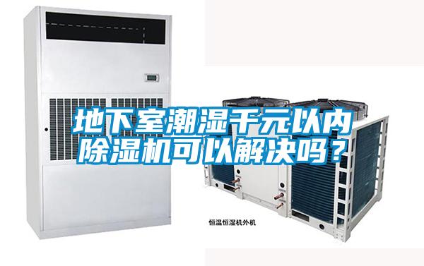 地下室潮濕千元以內除濕機可以解決嗎？