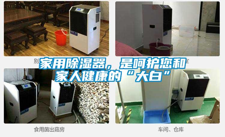 家用除濕器，是呵護您和家人健康的“大白”
