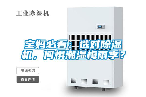 寶媽必看：選對除濕機，何懼潮濕梅雨季？