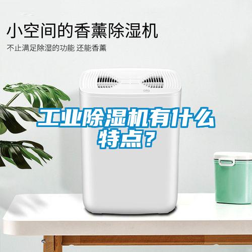 工業(yè)除濕機(jī)有什么特點(diǎn)？