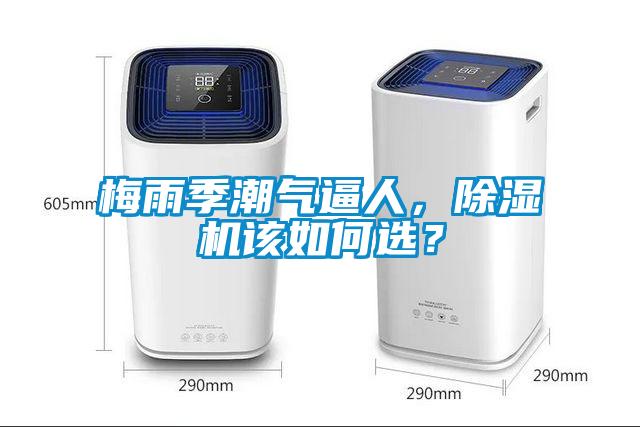 梅雨季潮氣逼人，除濕機(jī)該如何選？