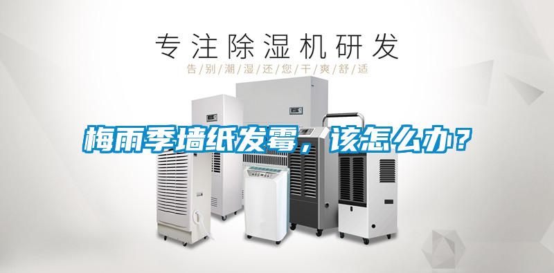 梅雨季墻紙發霉，該怎么辦？