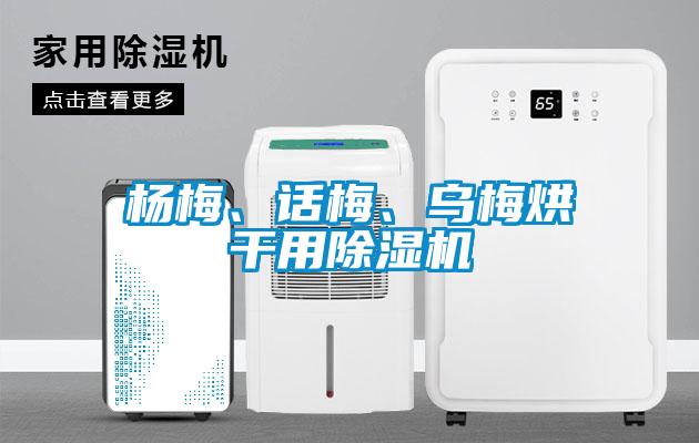 楊梅、話梅、烏梅烘干用除濕機(jī)