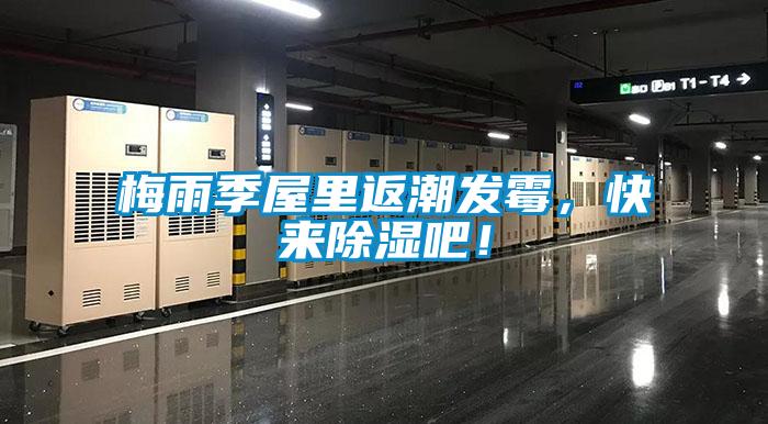 梅雨季屋里返潮發(fā)霉，快來除濕吧！