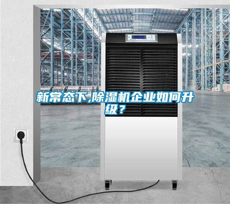 新常態下,除濕機企業如何升級？