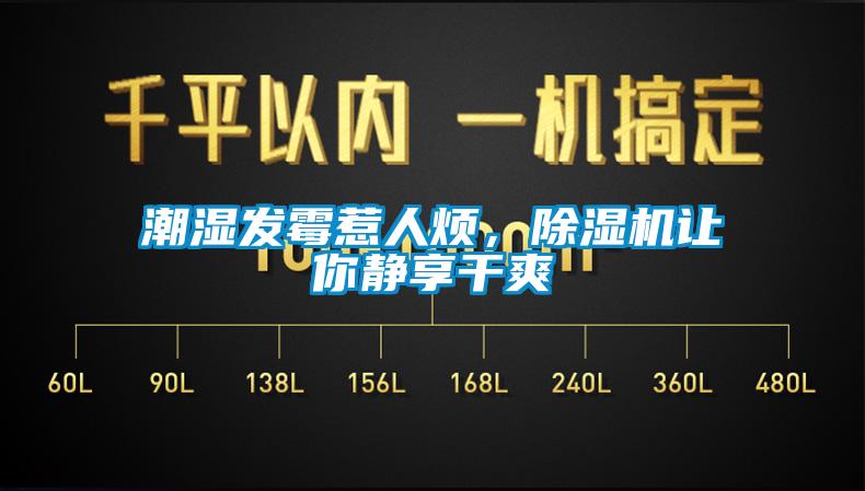 潮濕發(fā)霉惹人煩，除濕機讓你靜享干爽