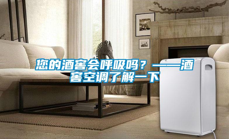 您的酒窖會呼吸嗎？——酒窖空調了解一下