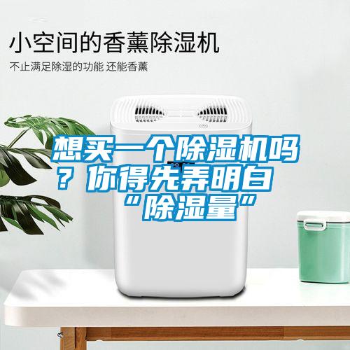 想買一個(gè)除濕機(jī)嗎？你得先弄明白“除濕量”