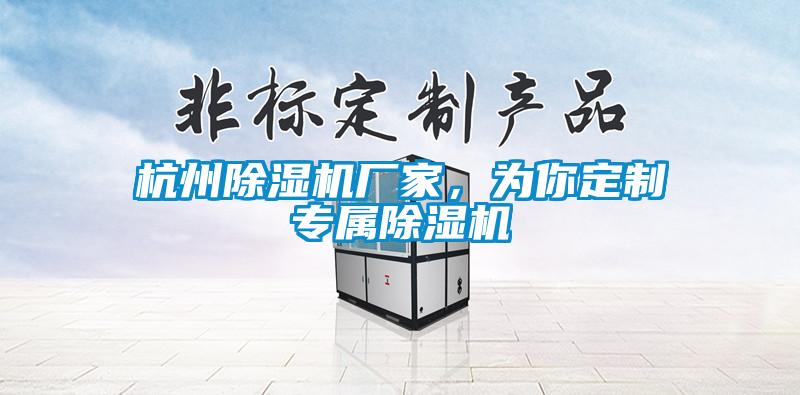杭州除濕機廠家，為你定制專屬除濕機