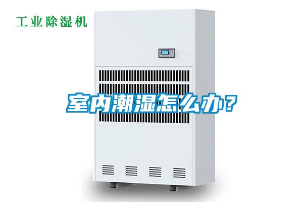 室內潮濕怎么辦？