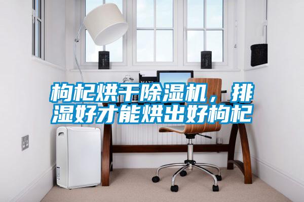 枸杞烘干除濕機，排濕好才能烘出好枸杞