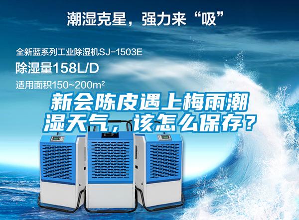 新會(huì)陳皮遇上梅雨潮濕天氣，該怎么保存？