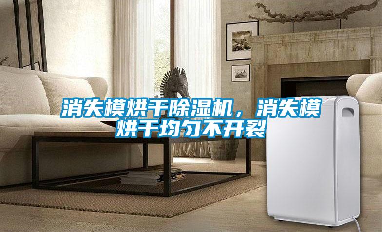 消失模烘干除濕機，消失模烘干均勻不開裂