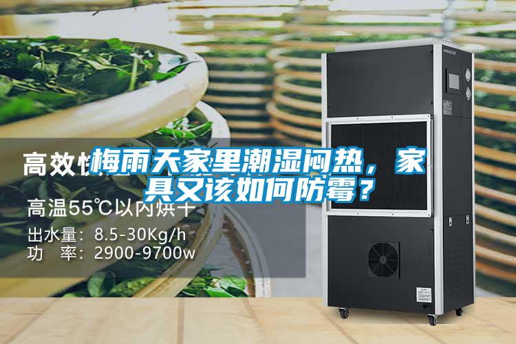梅雨天家里潮濕悶熱，家具又該如何防霉？