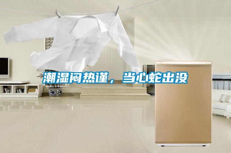 潮濕悶熱謹，當心蛇出沒