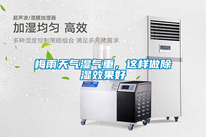 梅雨天氣濕氣重，這樣做除濕效果好
