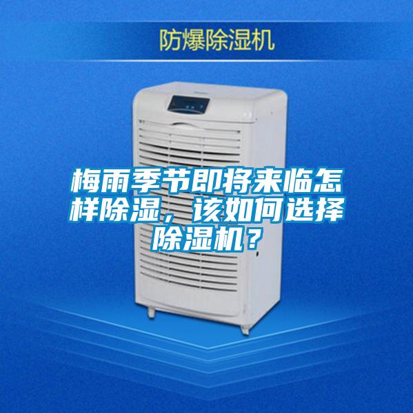 梅雨季節即將來臨怎樣除濕，該如何選擇除濕機？