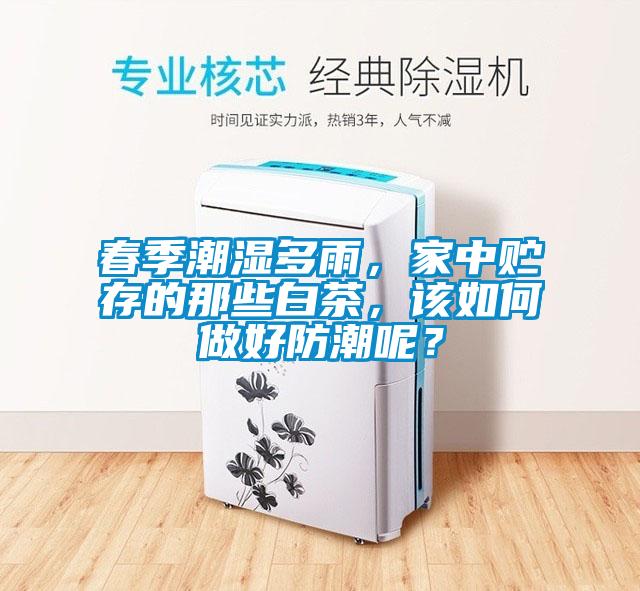 春季潮濕多雨，家中貯存的那些白茶，該如何做好防潮呢？