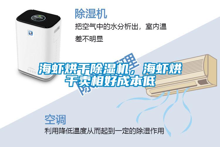 海蝦烘干除濕機，海蝦烘干賣相好成本低